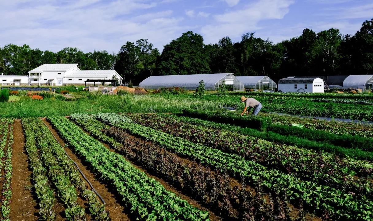 Farmers working